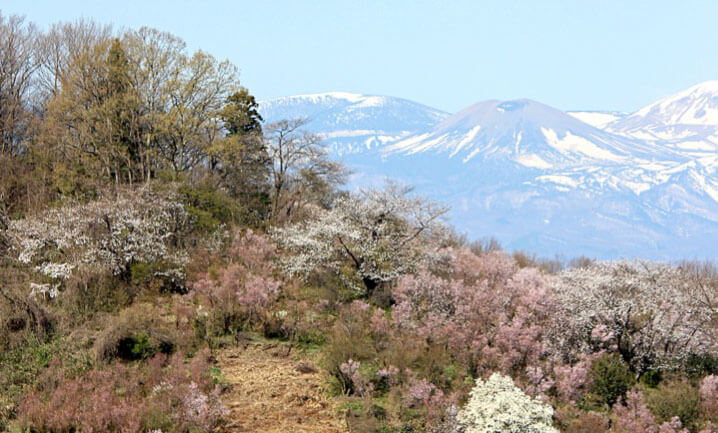 花見山および市街地周辺道路整備計画